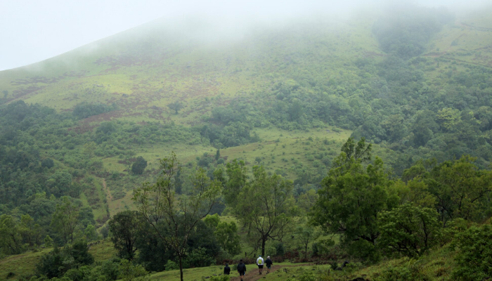 why trekking - you get to explore remote trails