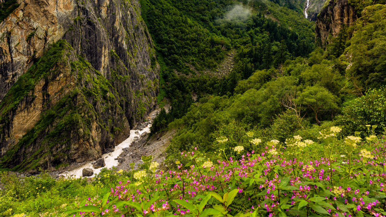 Mother's day - Valley of flowers trek