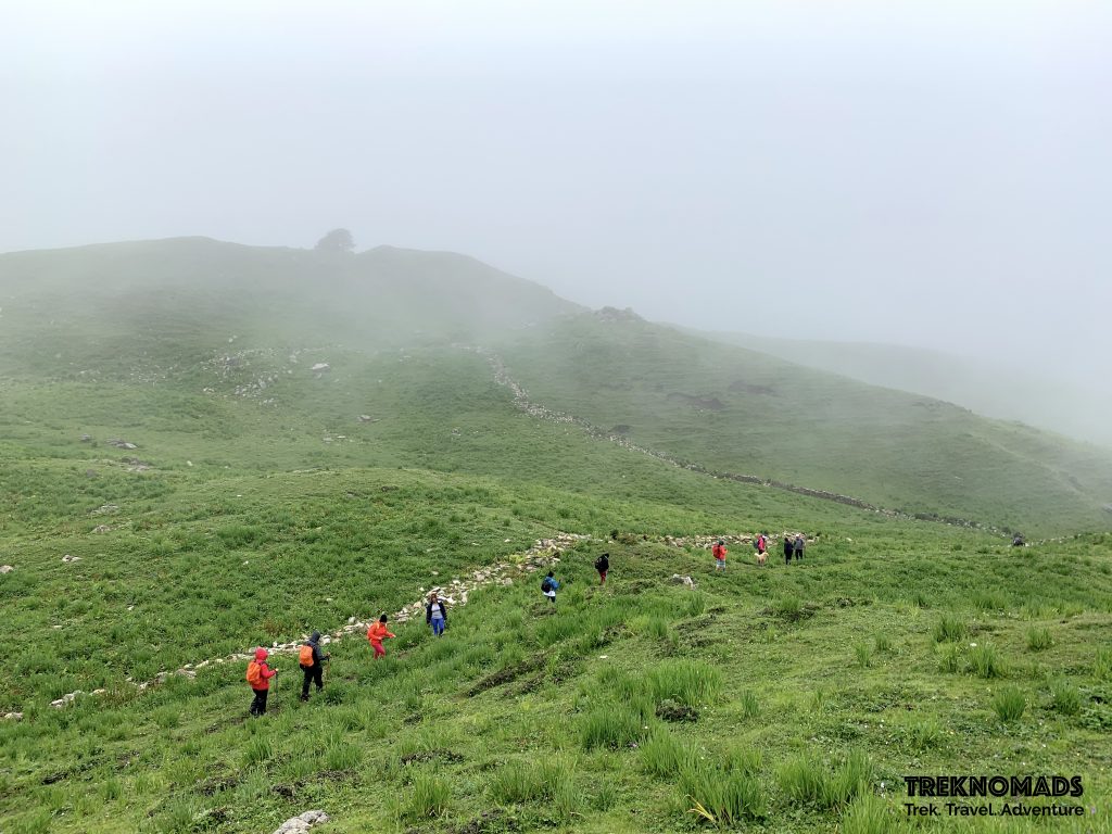 valley of flowers trek - Gorson Bugyal trek