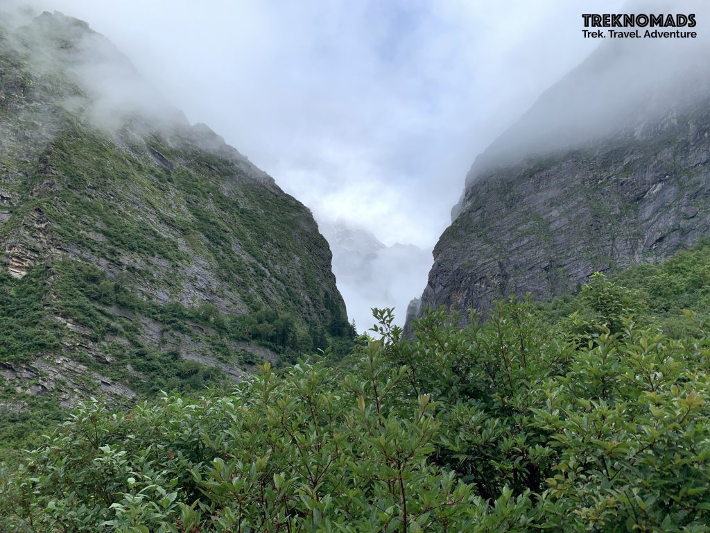 valley of flowers