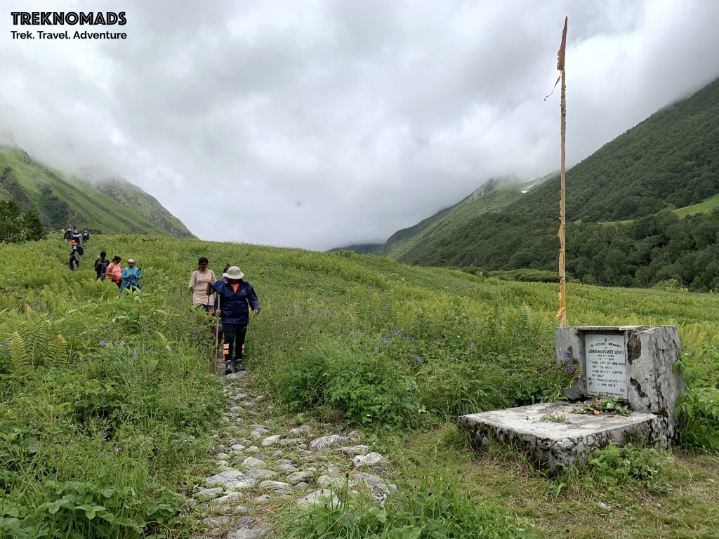 valley of flowers trek