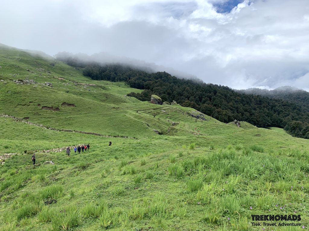 valley of flowers trek - Gorson Bugyal