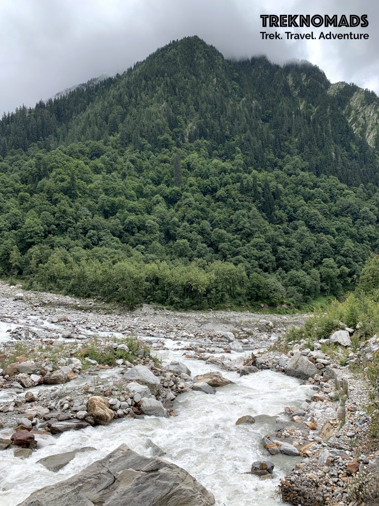 valley of flowers