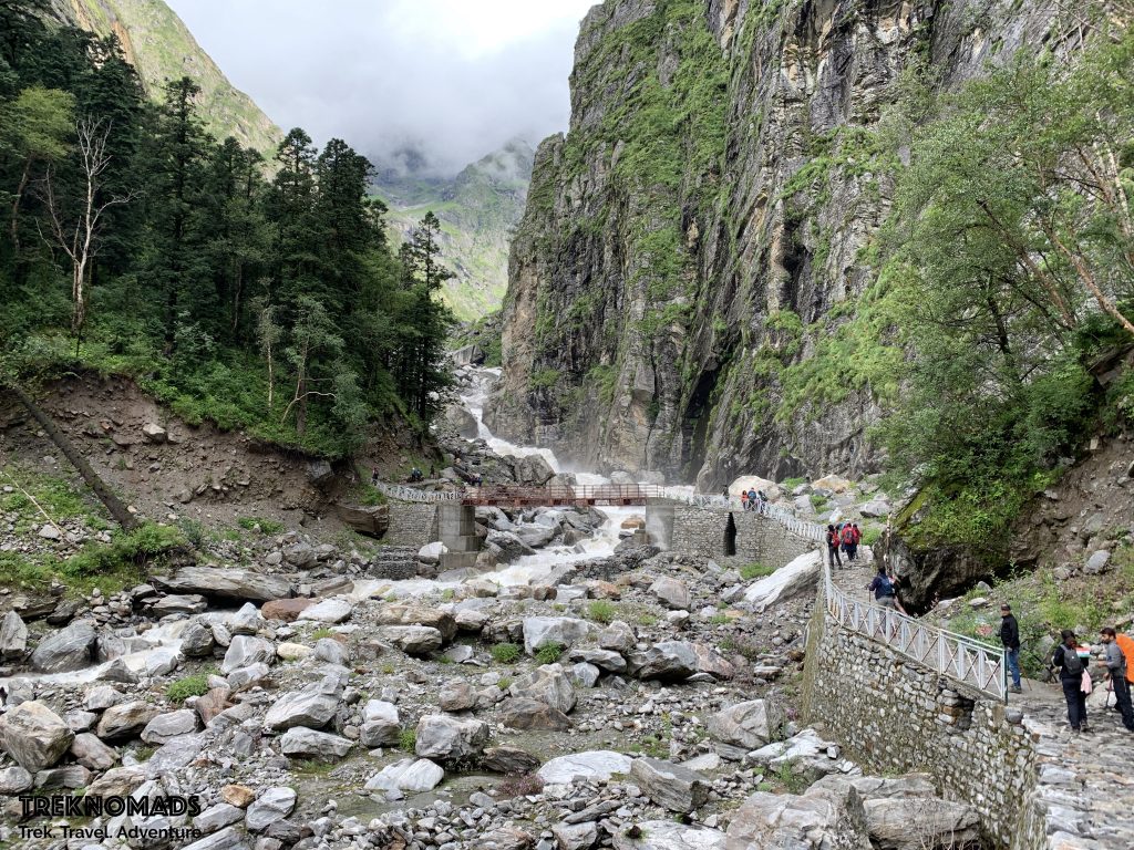 valley of flowers trek