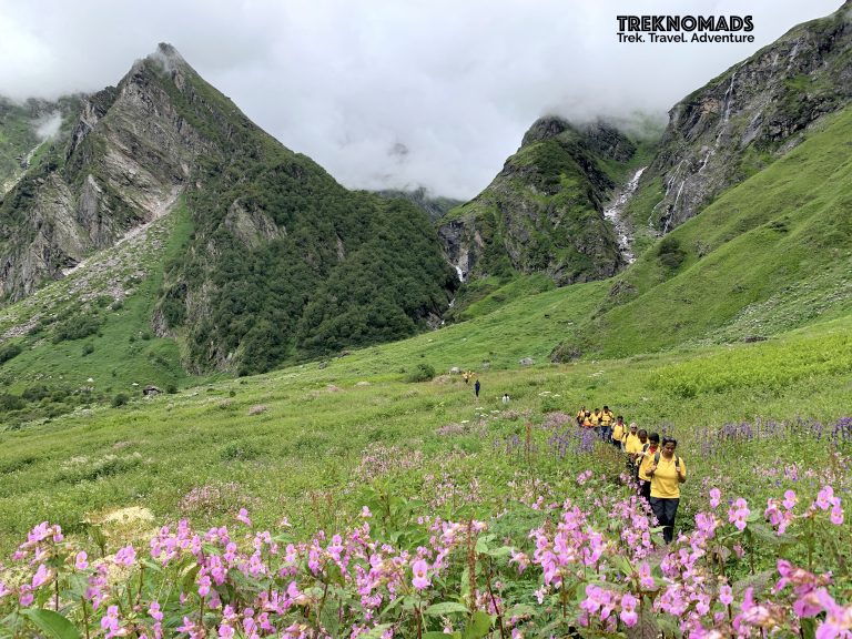 valley of flowers trek