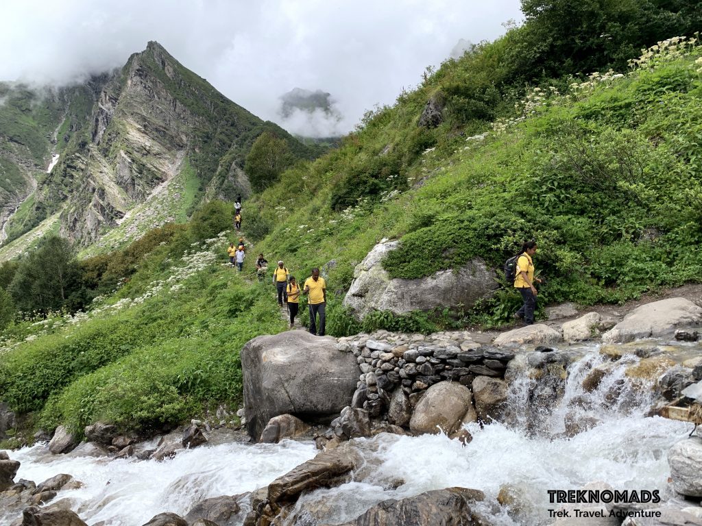 valley of flowers trek