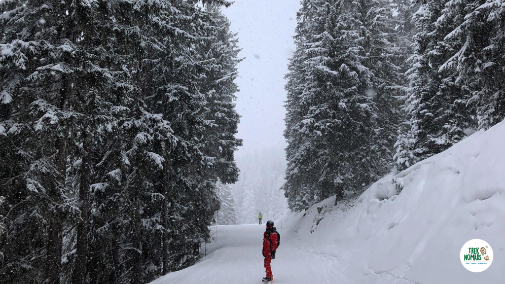 Winter Trekking Guide _ winter trekking photography tips