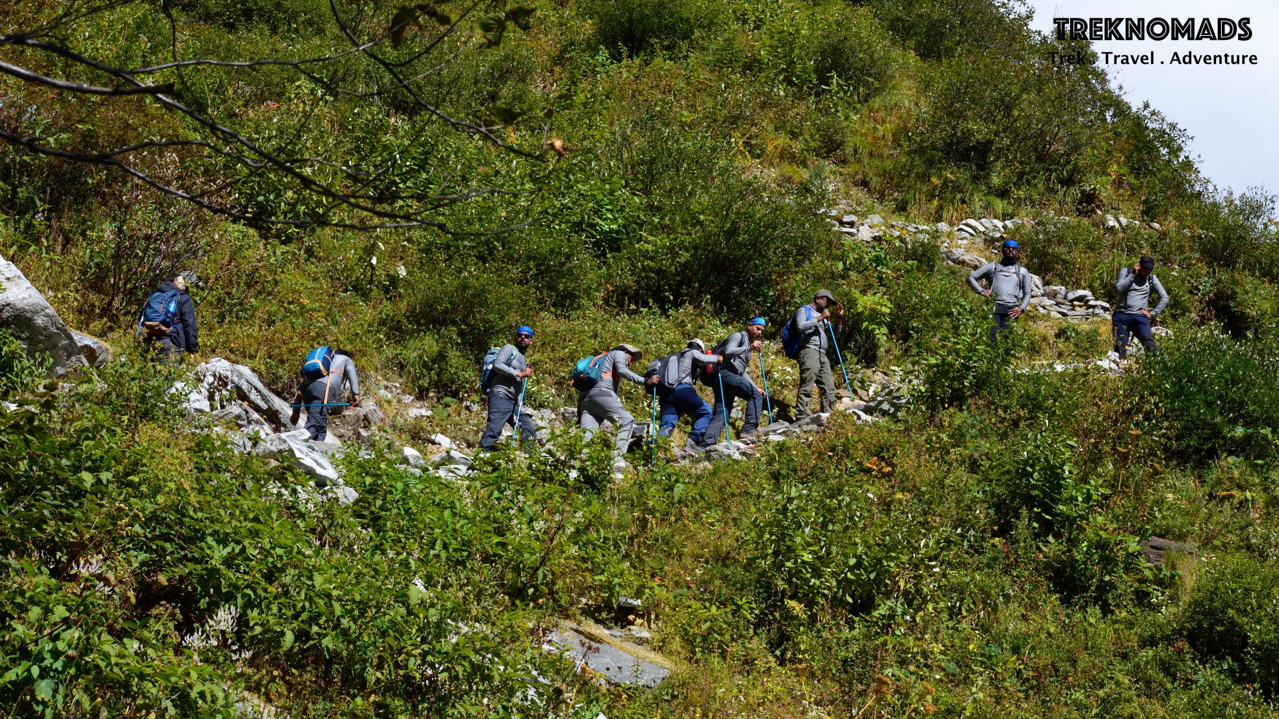 valley of flowers trek distance