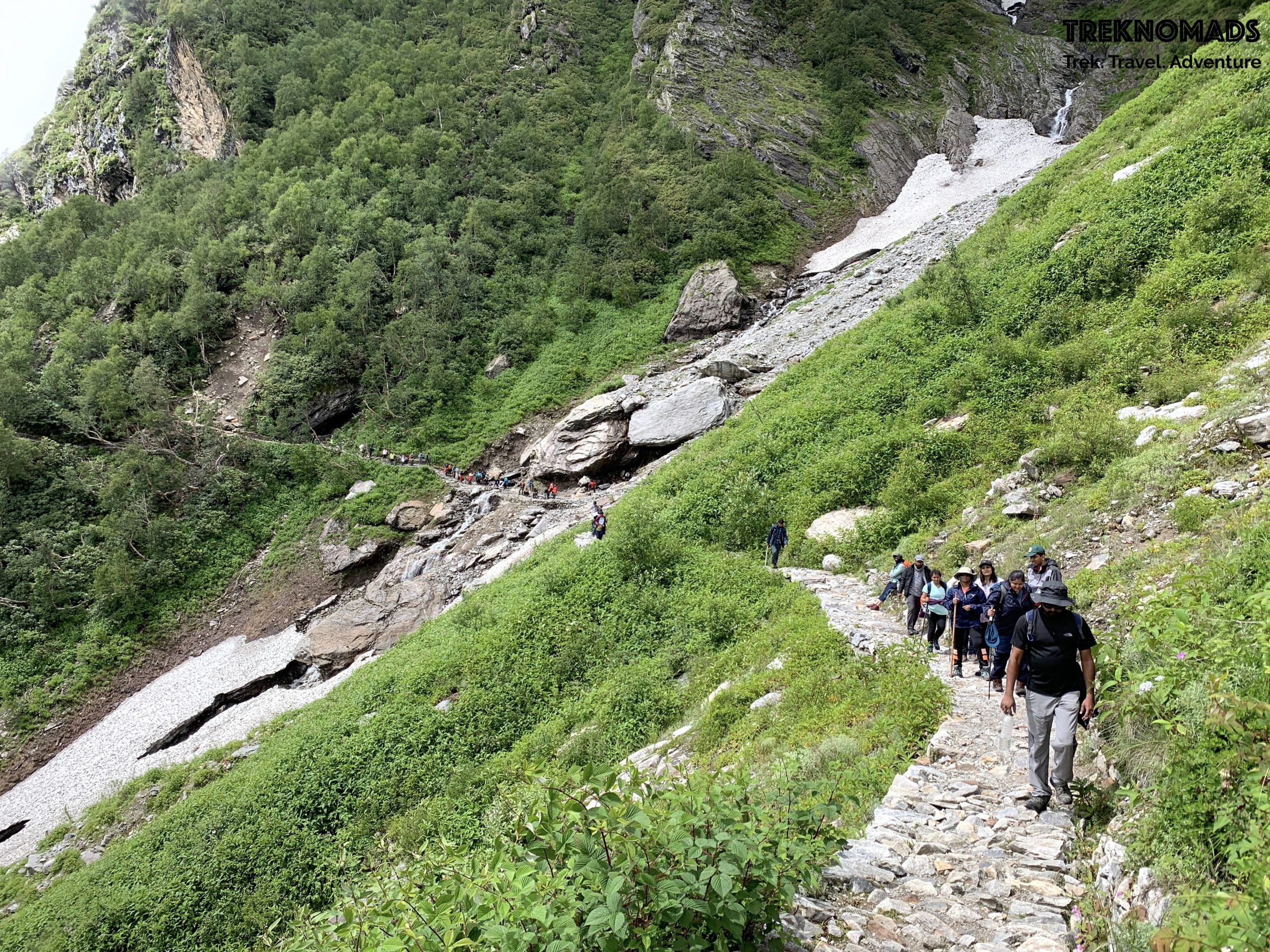 valley of flowers trek package