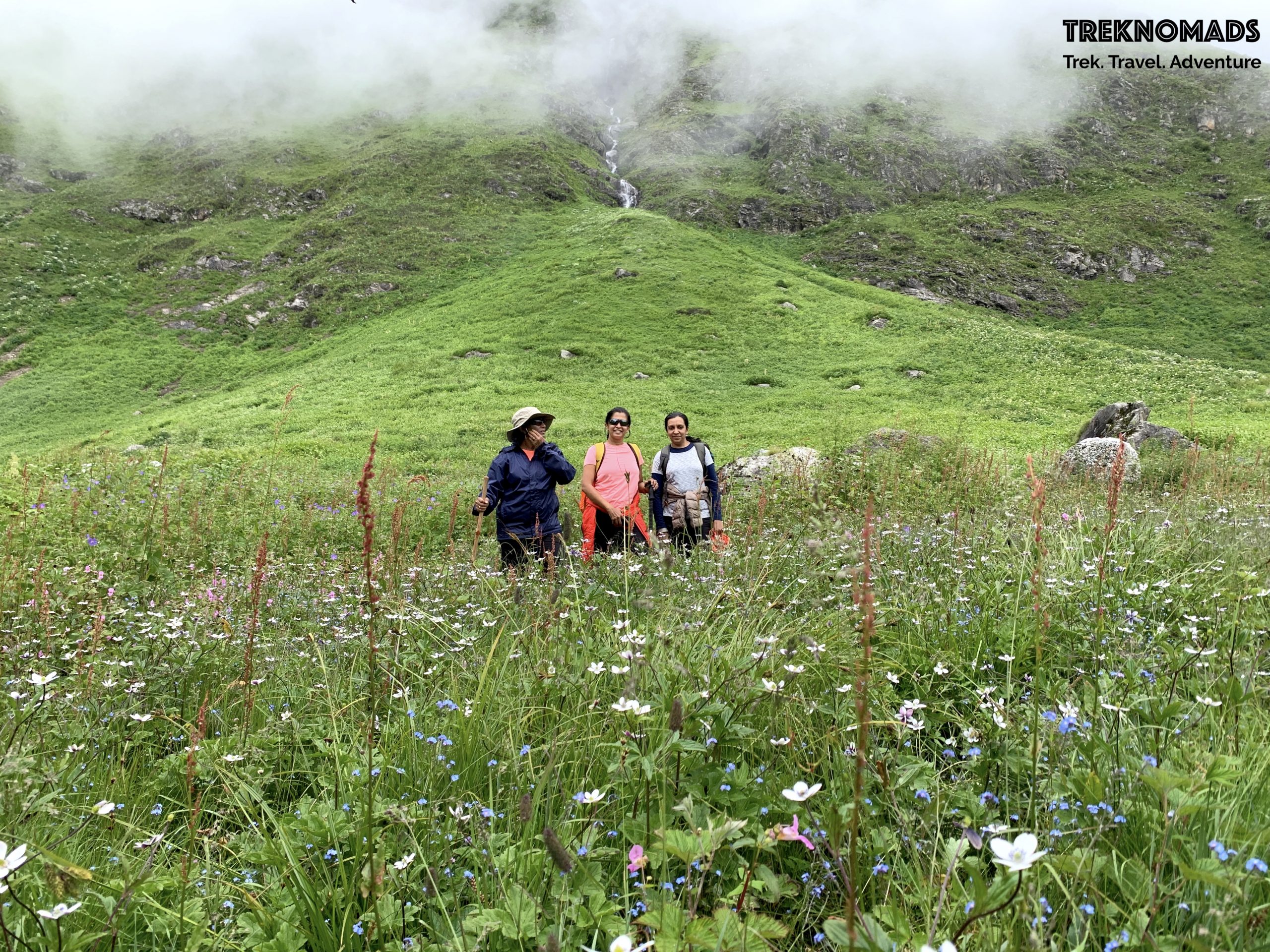 trek to valley of flowers