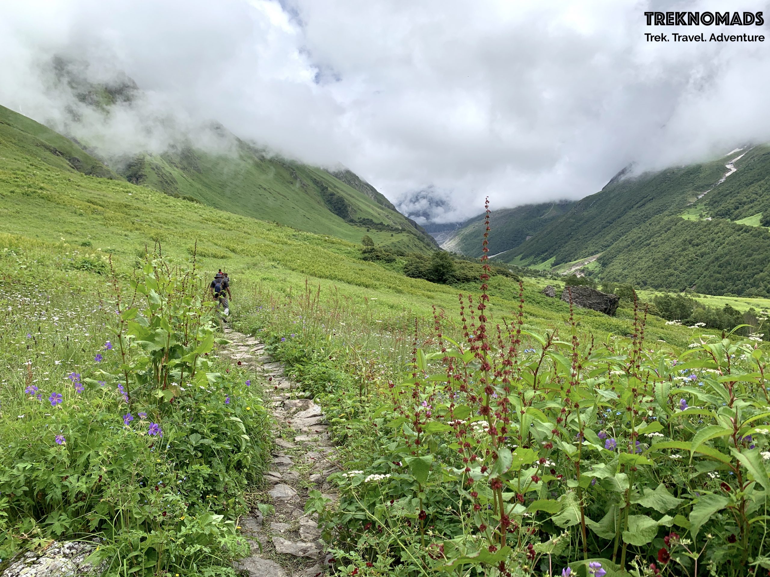 valley of flowers uttarakhand trek