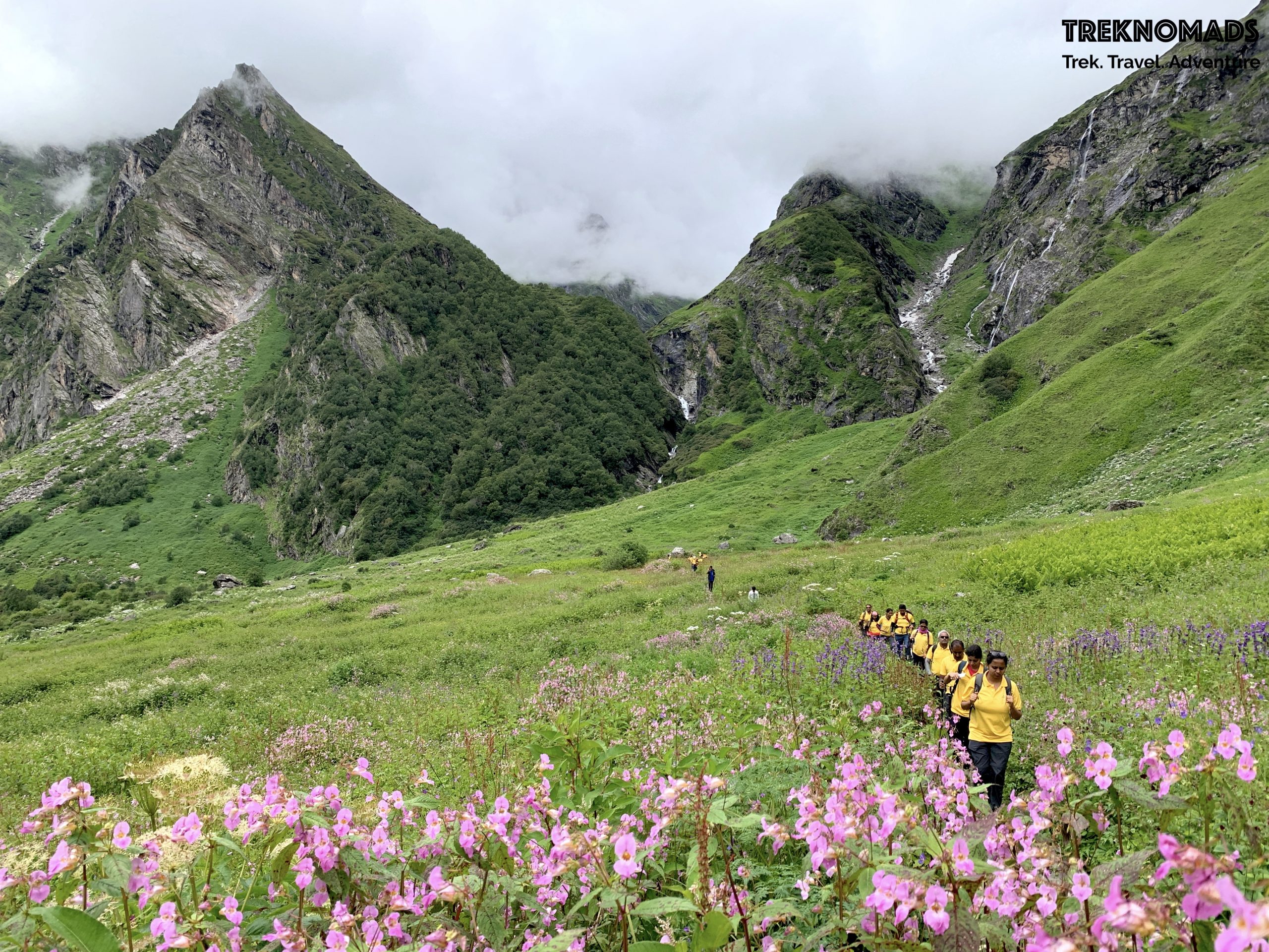 valley of flowers trek cost