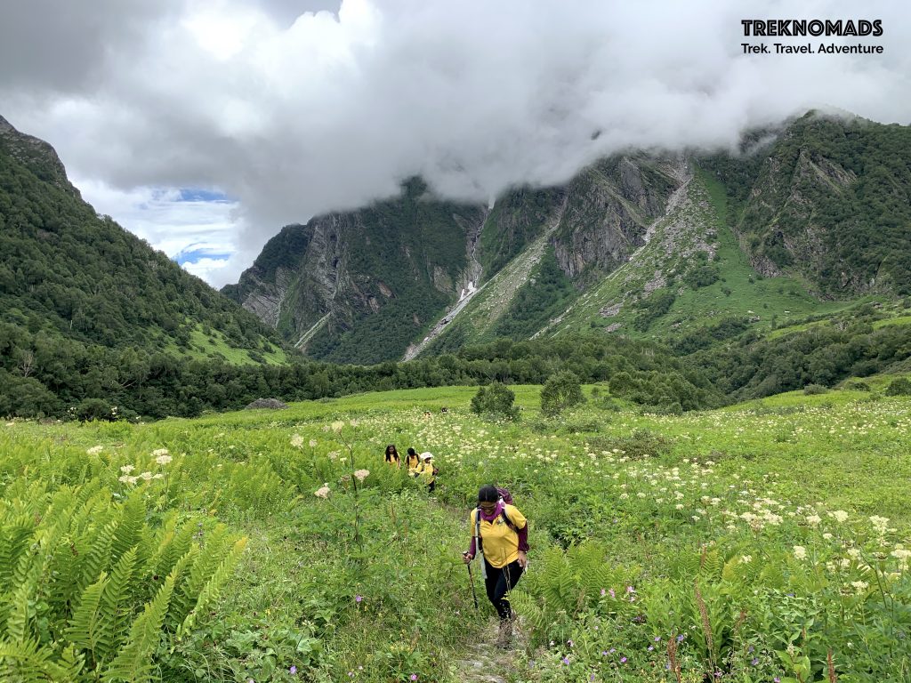 valley of flowers trek 