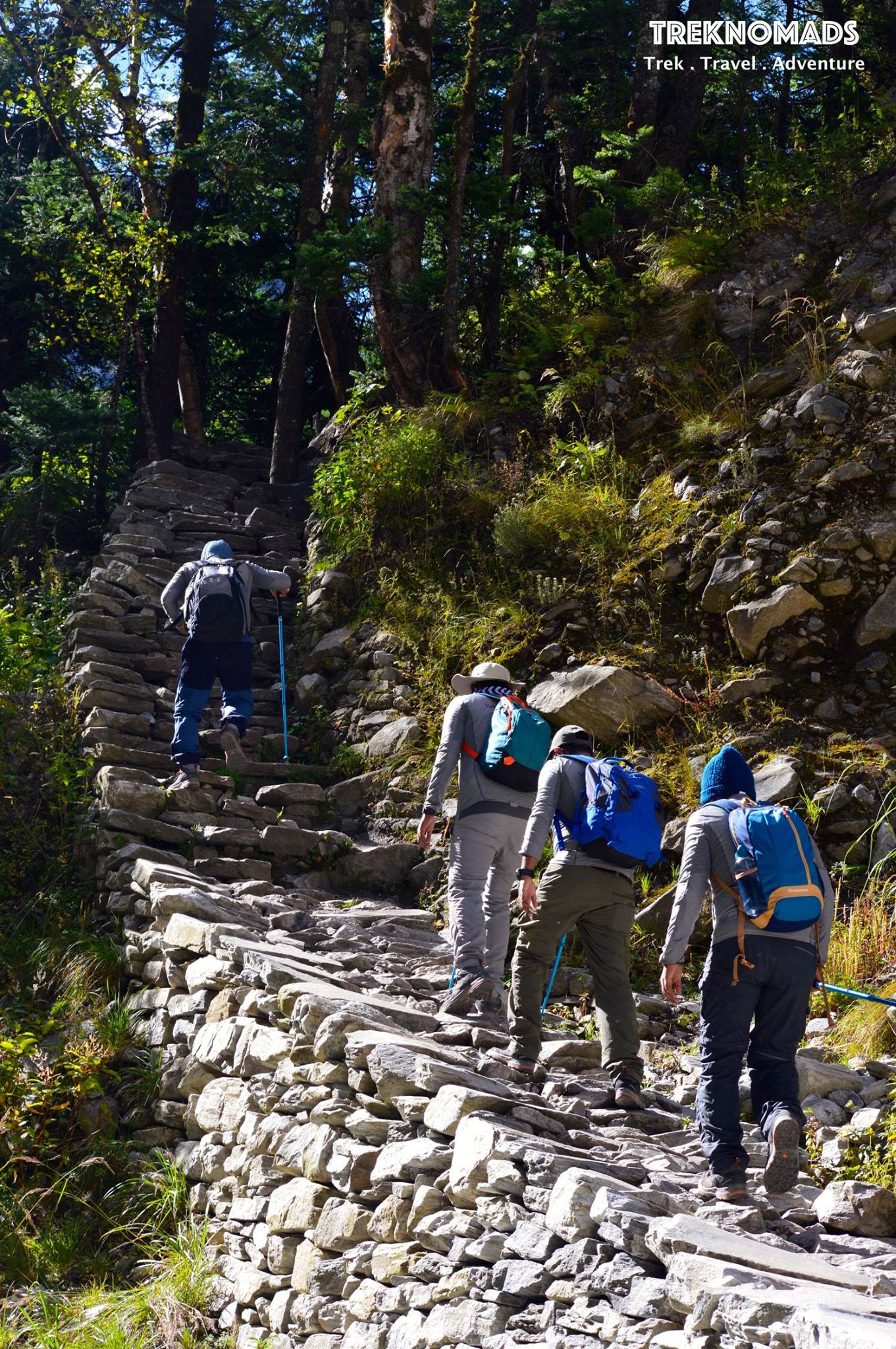 valley of flowers trek best time