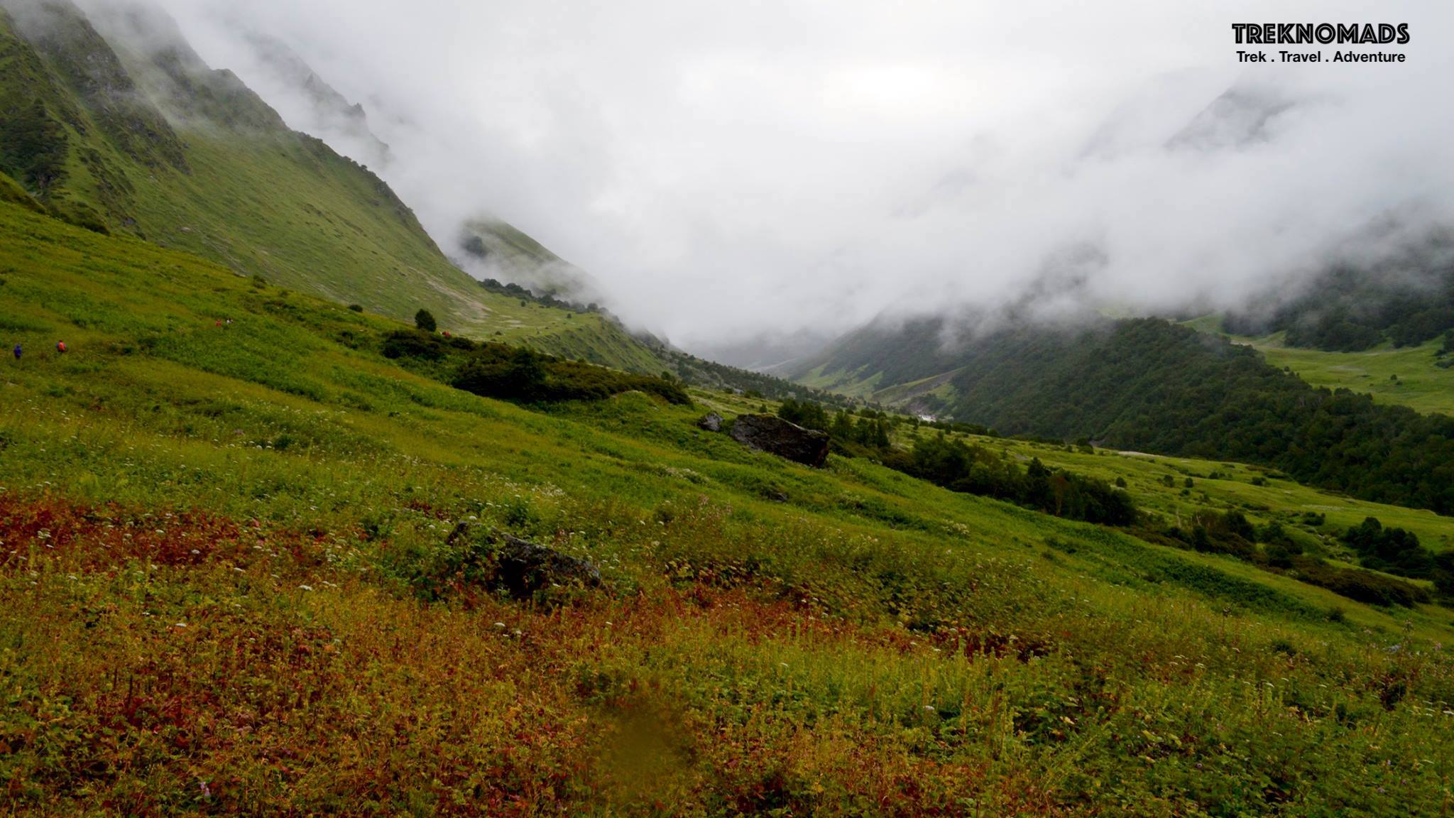 Valley of Flowers