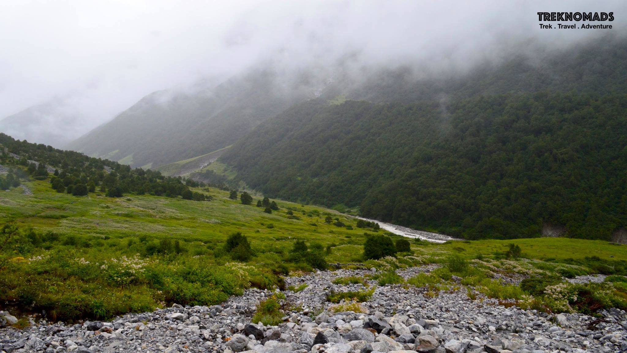 Valley of Flowers