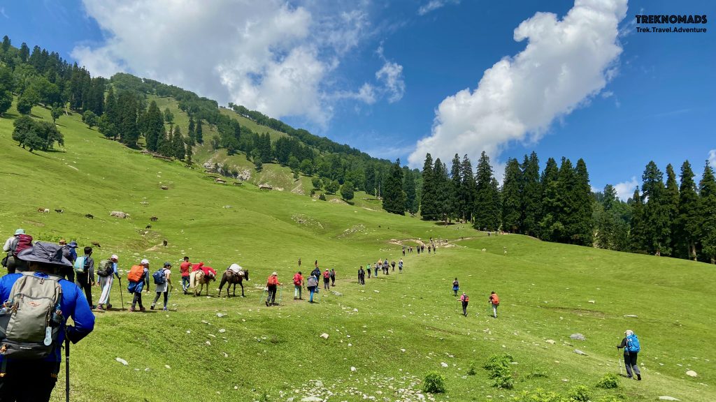 The initial first km of the trail. It was a hot and sunny day. But with fresh legs and enthusiasm, we started our long trek. The initial first km of the trail. It was a hot and sunny day. But with fresh legs and enthusiasm, we started our long trek. Kashmir Great Lakes Trek, Premium.