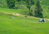 tarsar marsar kashmir trek