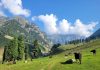 tarsar marsar trek