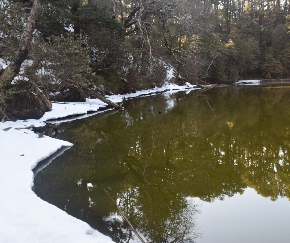  The Mystical Beauty of Brahmatal Trek: Bekaltal Lake 